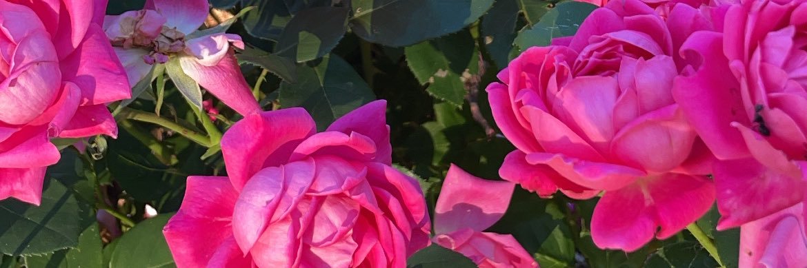 aGregz_'s profile banner image
