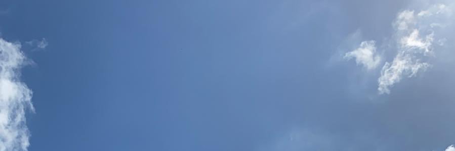 sarahlamberto's profile banner image