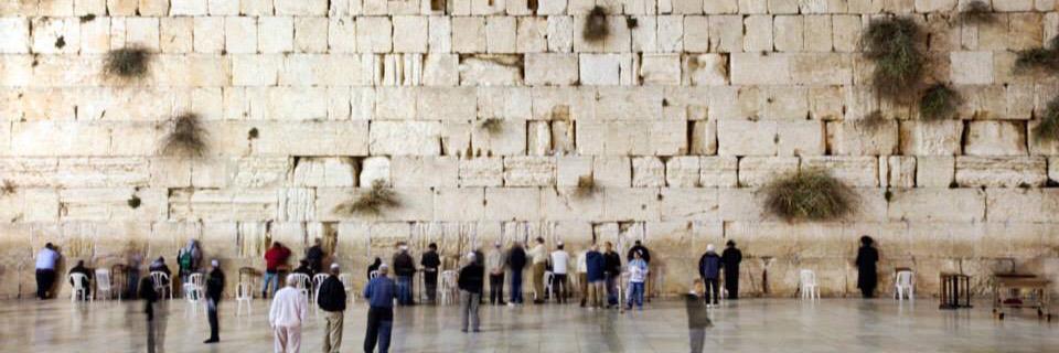 noahide_eliyah's profile banner image