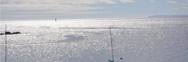 croimc Profile Banner