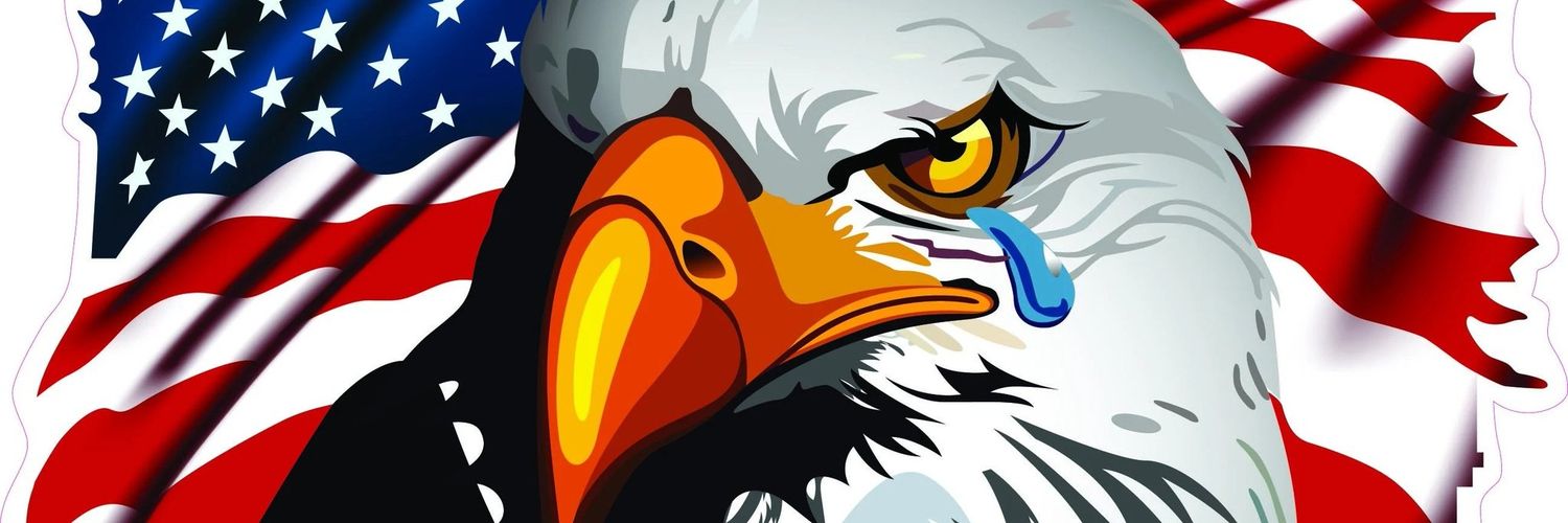 ⊰𝔊𝔲𝔞𝔯𝔡𝔢𝔡ꨄℌ𝔢𝔞𝔯𝔱⊱ 🐸🇱🇷🌊 banner