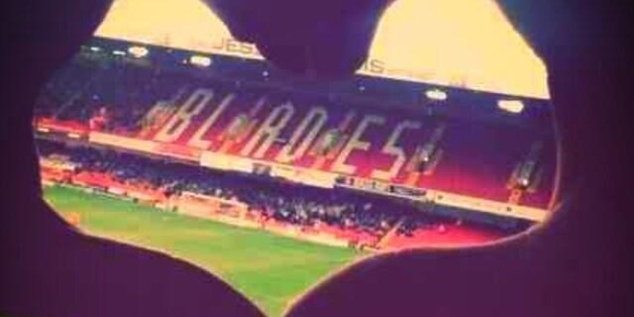 Sue Flello banner