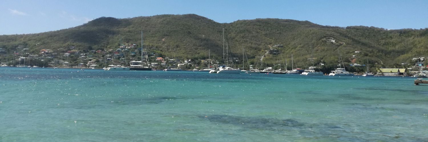 Indocaribe's profile banner image