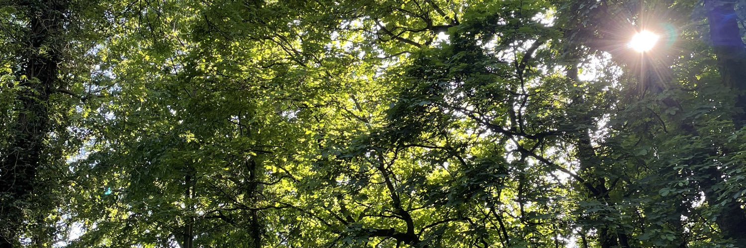 Mark 🇬🇧 banner