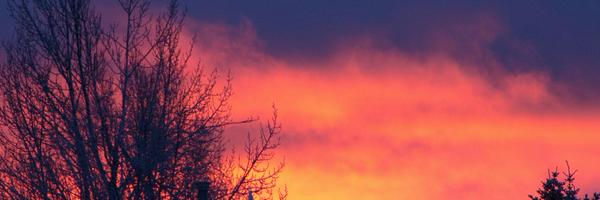 OfficialUOME Profile Banner