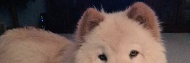 bri_dubs's profile banner image