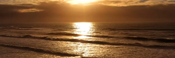 FONSECA_OFF Profile Banner