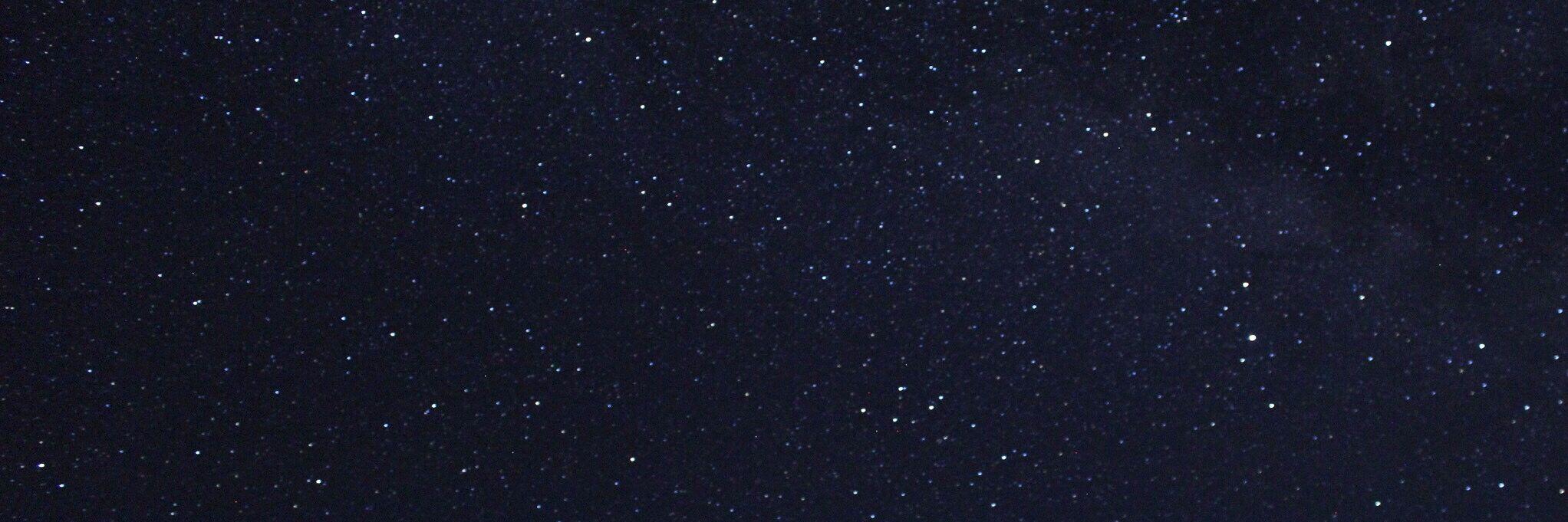 Meredith Stepien ᵇˡᵐ banner