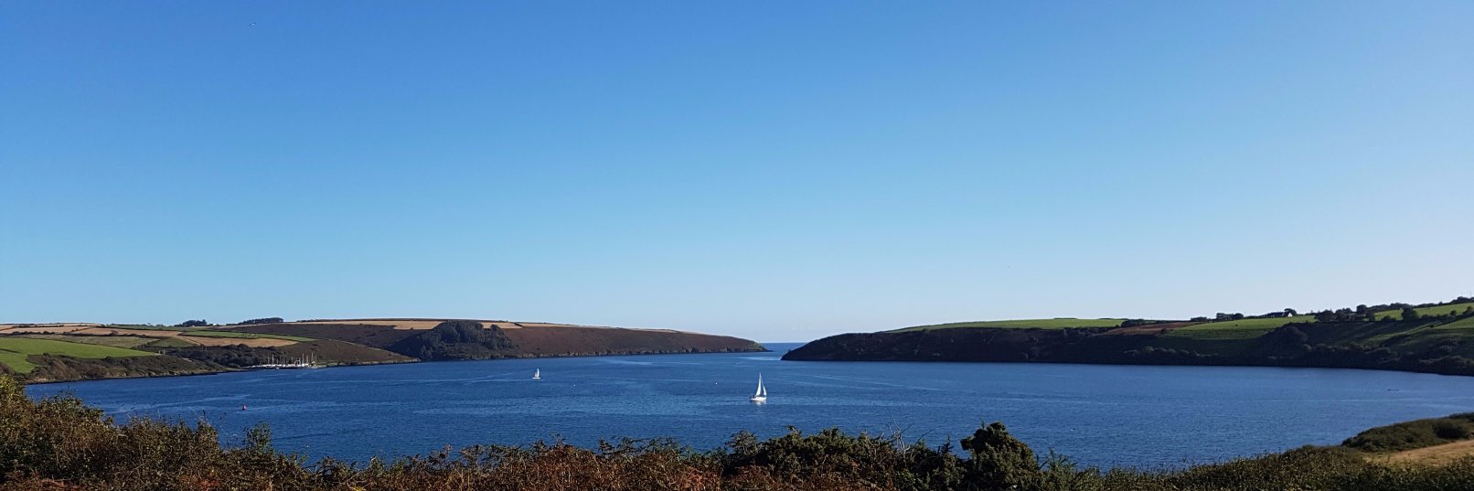 Doc Martin banner