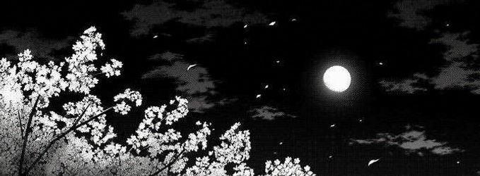 itslunavgi3's profile banner image