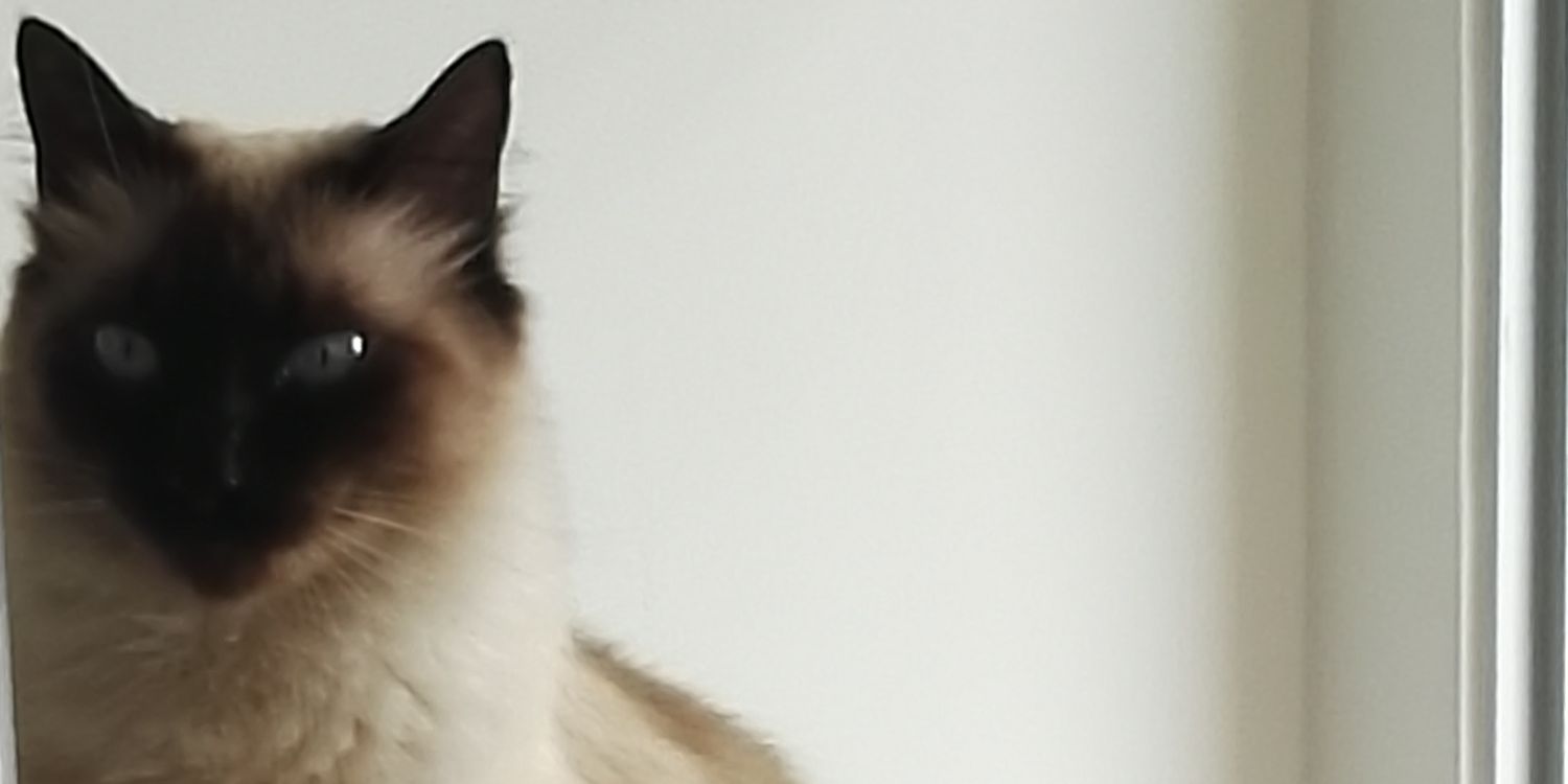 GabbsMeza's profile banner image