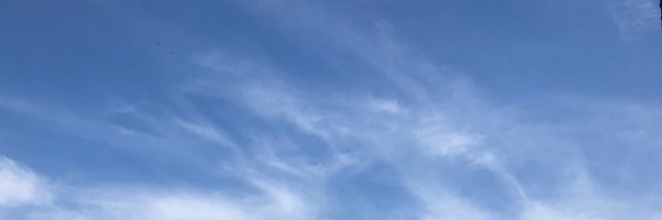 xenia_mis Profile Banner