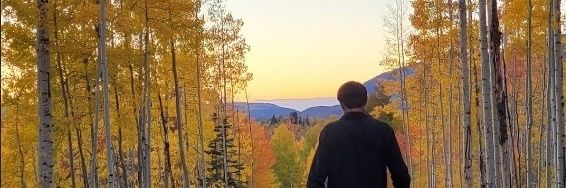 YellowCNic's profile banner image