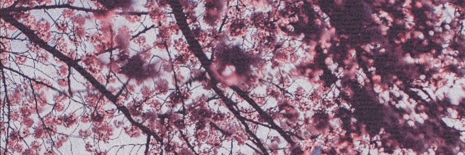 blldll's profile banner image