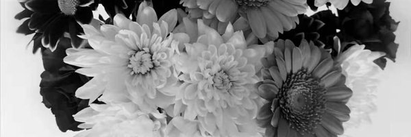 6Y1HE Profile Banner