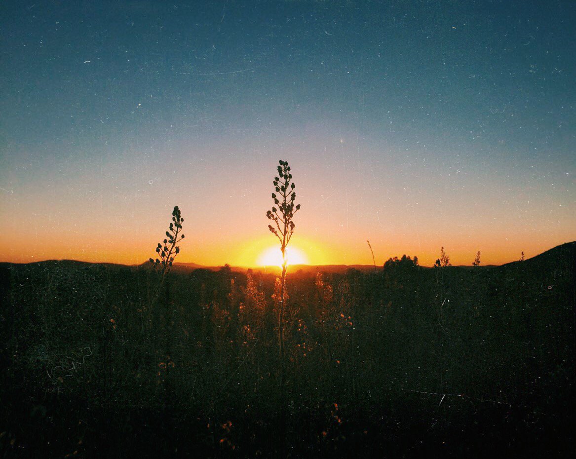 magiadispersion's profile banner image