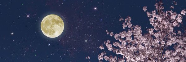 StorybrookC Profile Banner