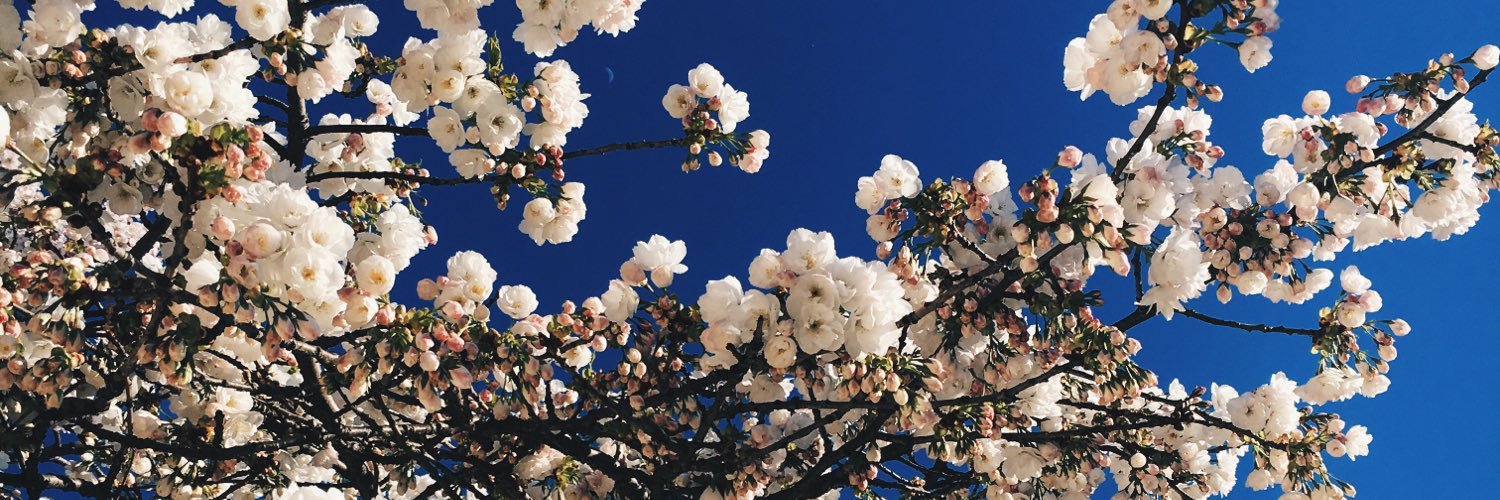 Annastrnd's profile banner image