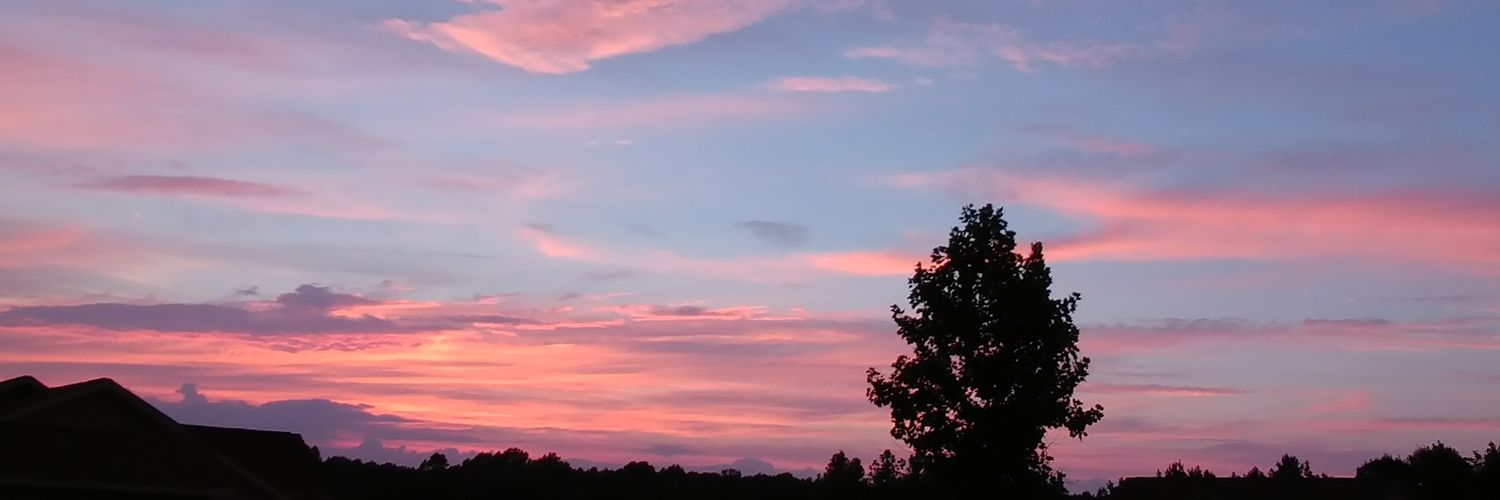SheSCREAMSDean's profile banner image