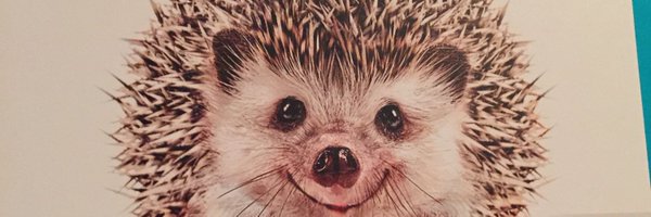 CoachMurph32 Profile Banner