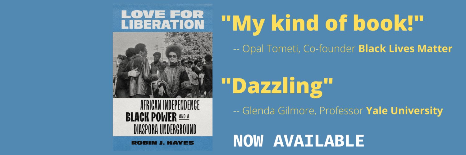 Dr. Robin J. Hayes banner