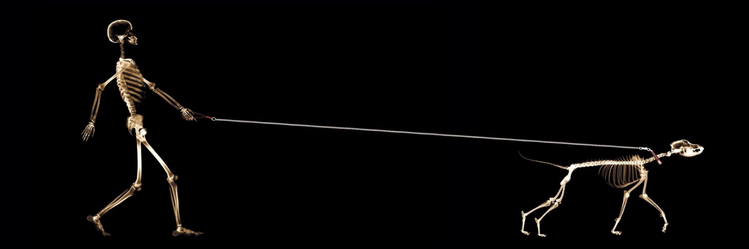 bem_swigs's profile banner image