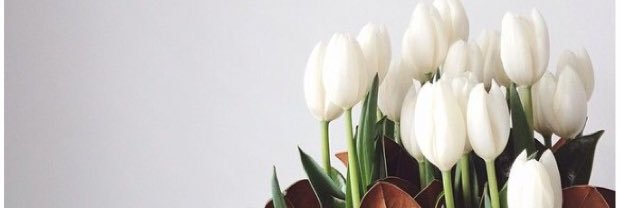 aelizabeth66's profile banner image
