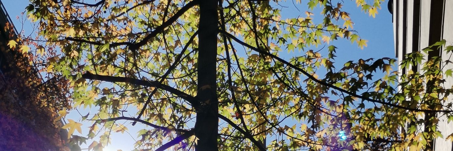 Jesusantunz's profile banner image