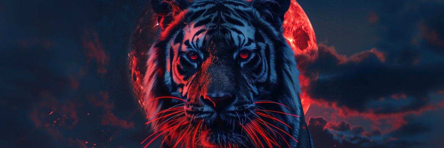 itsTiiger's profile banner image