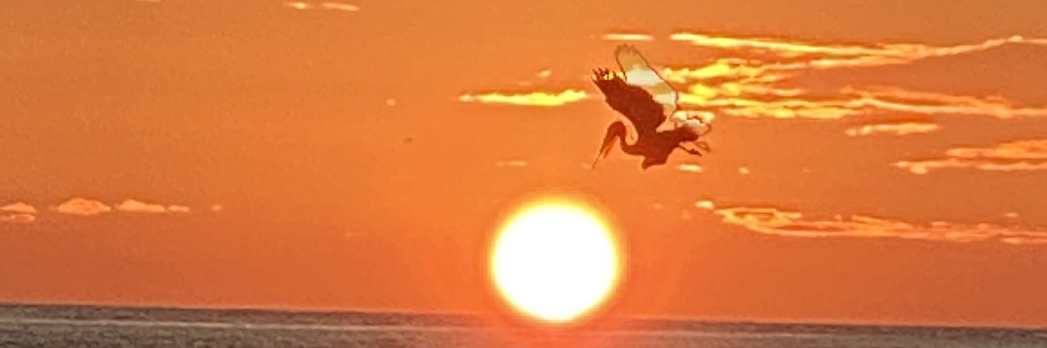 Racquelriv's profile banner image