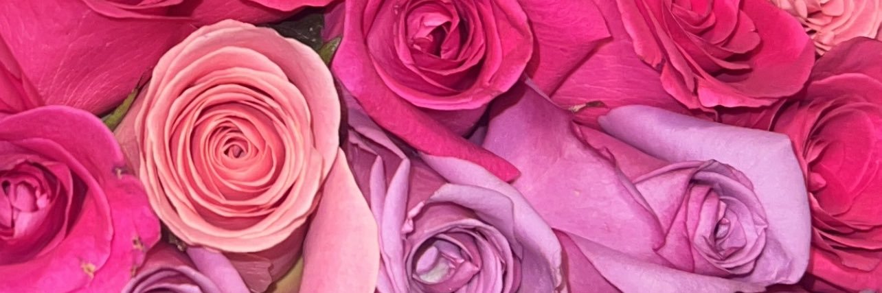 IlseDanielaChS's profile banner image