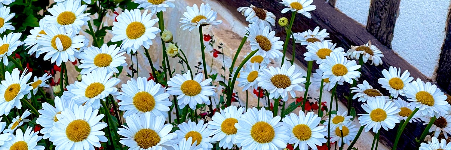 LeaneAzr's profile banner image