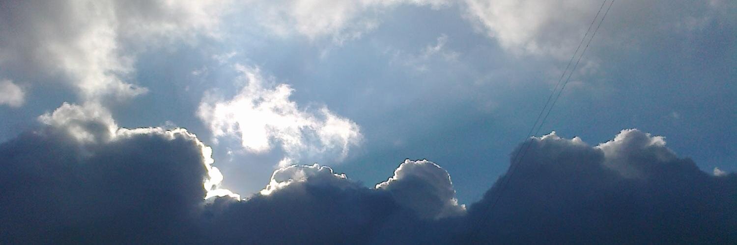OLyna22's profile banner image