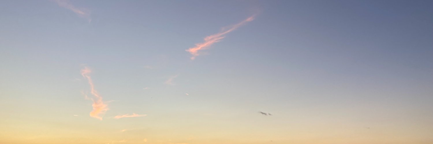 Francesco Renga banner