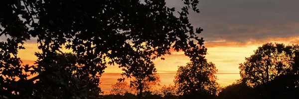 McCartneyJoseph Profile Banner