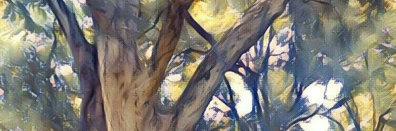 Keili R. banner