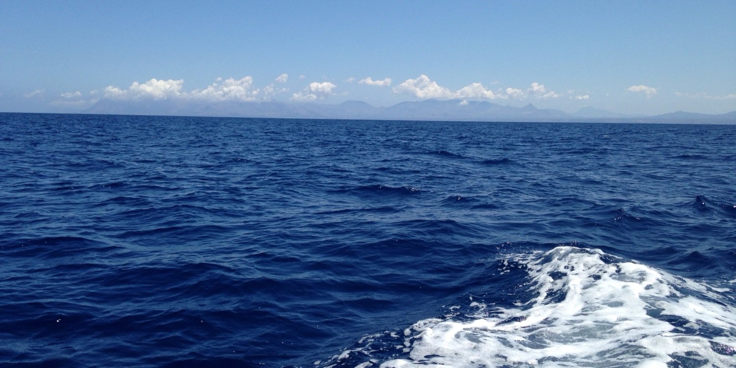 Alessandra Bordon banner