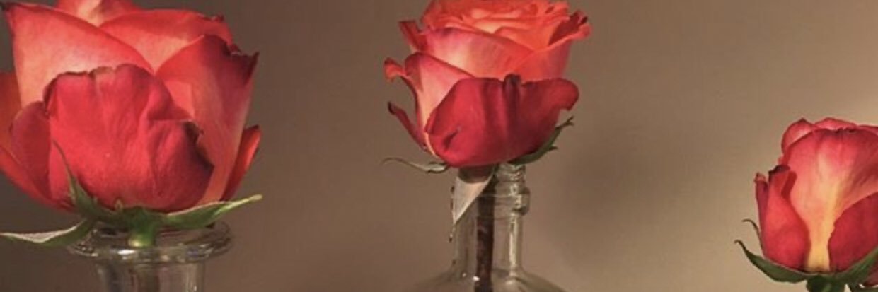 YanelleMinique's profile banner image