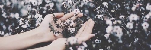 Vic banner