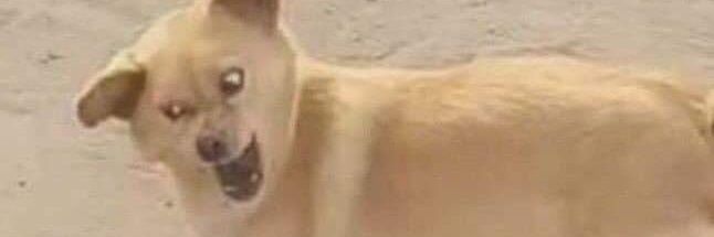 I77_77's profile banner image
