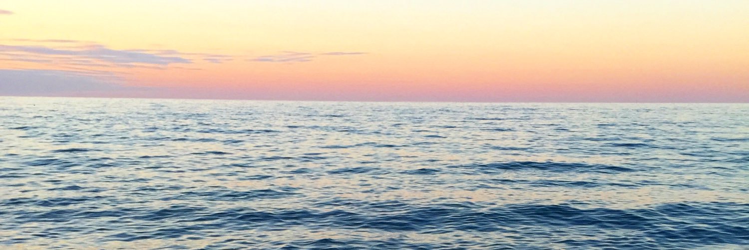 amesyygirll's profile banner image