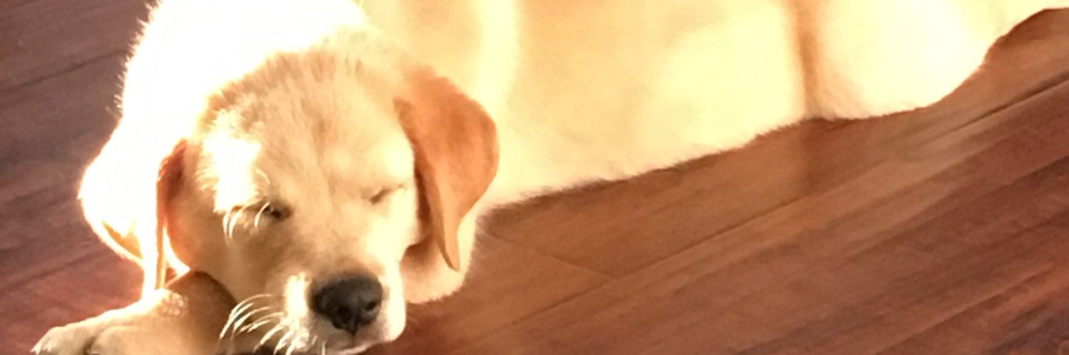 colinpec8's profile banner image