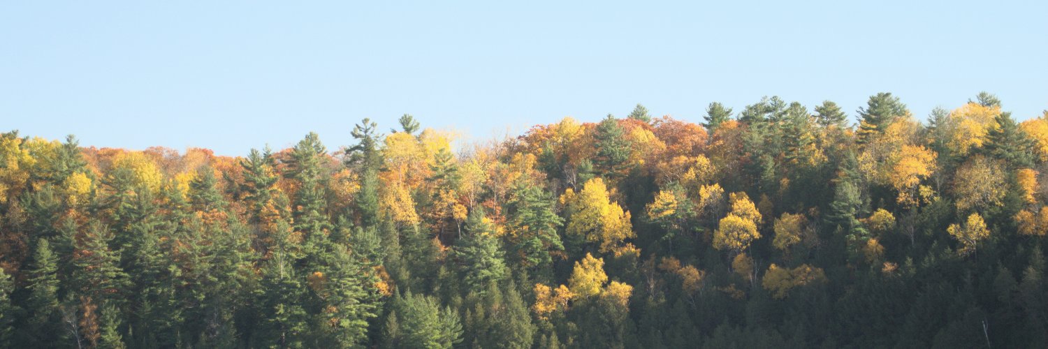 Nathan Friend banner