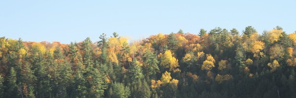 NathanAFriend Profile Banner