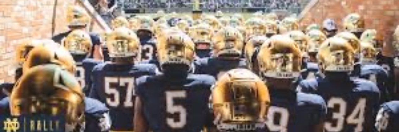 Riley L banner