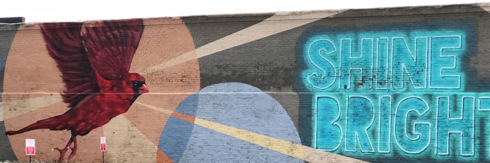 Dr. Black Lives Matter banner