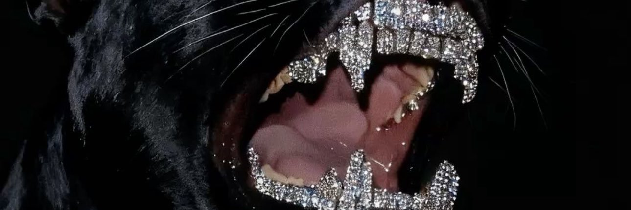 prettyriski's profile banner image