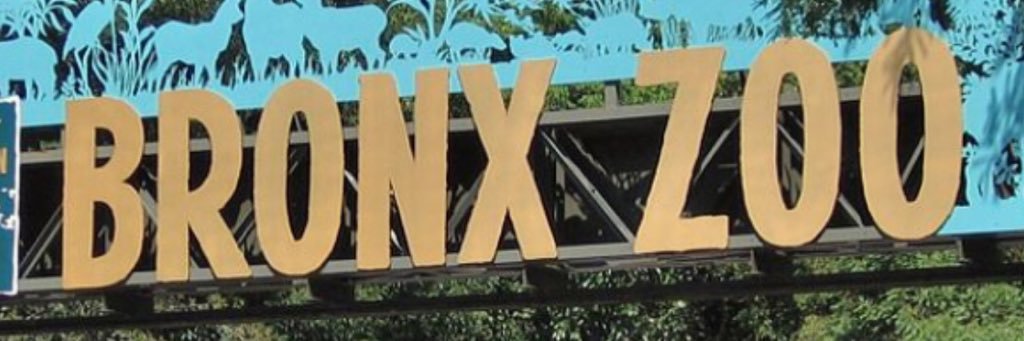 BX2CT's profile banner image