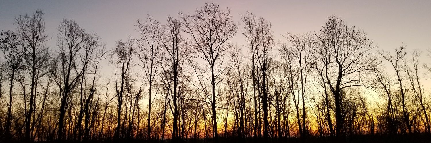 BmanK55's profile banner image
