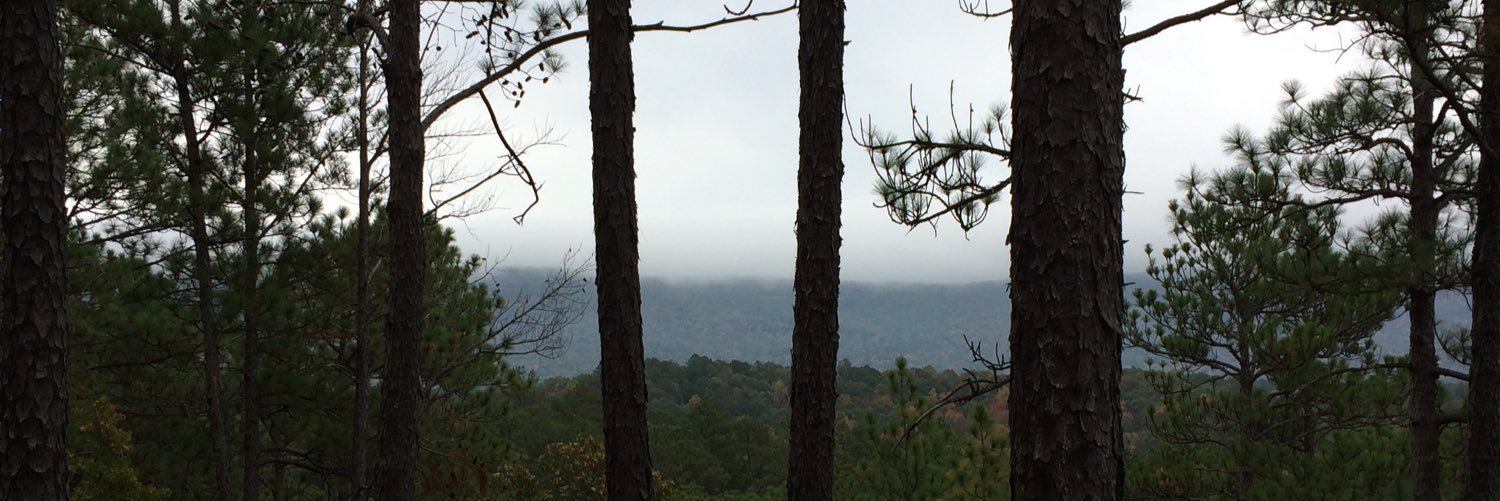WesleyThomas7's profile banner image